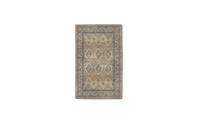 Load image into Gallery viewer, Ferozan Rug &amp; Runner
