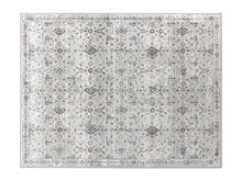 Load image into Gallery viewer, Washable Rug
